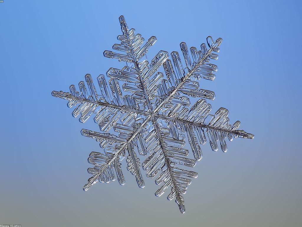 ការបង្ហាញពីស្លុត: ការយល់ដឹងអំពីការកំណត់គោលបំណងនៃស្លុត