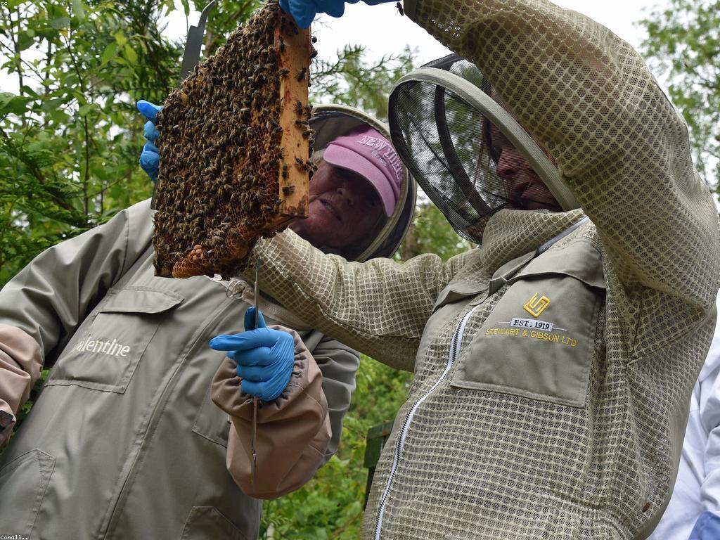វិភាគលេងស្លុត: សមុទ្រ​នៃការលេងគំនិត