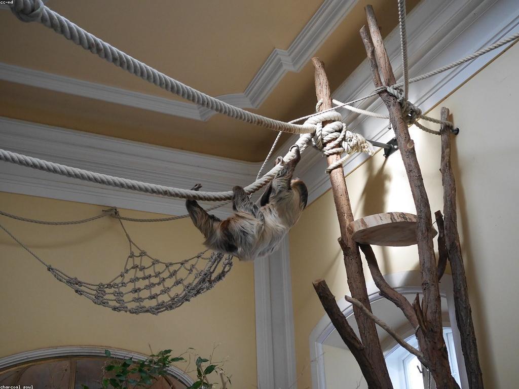 ការបង្ហាញពីស្លុត