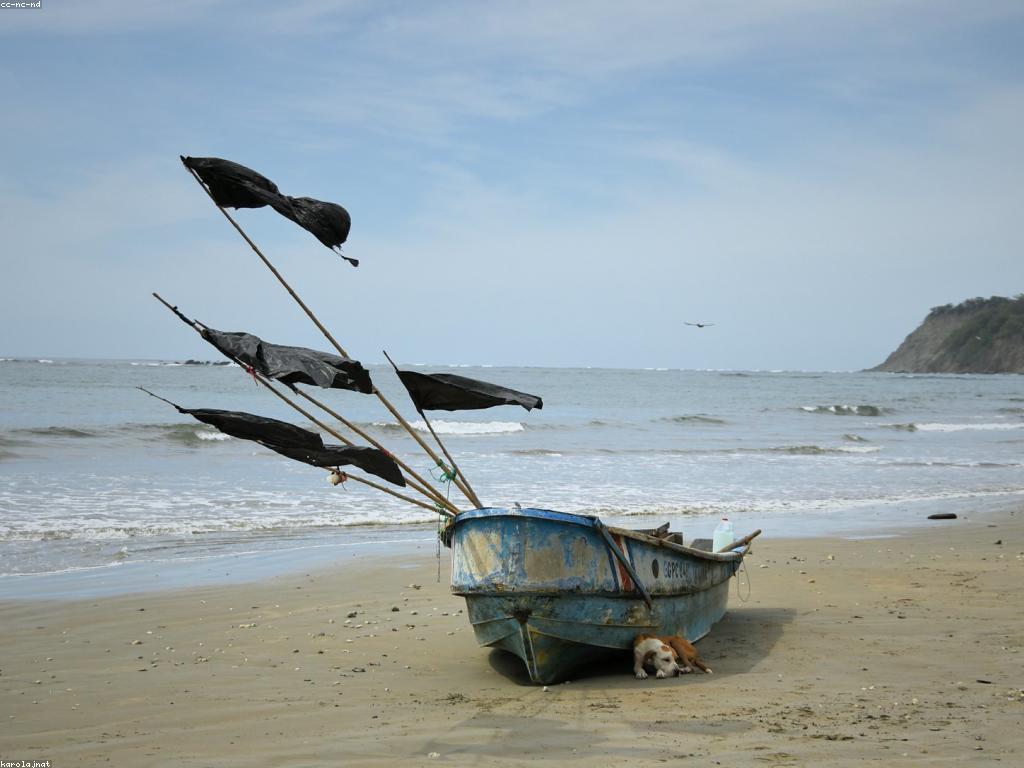 ការបង្ហាញពីស្លុត