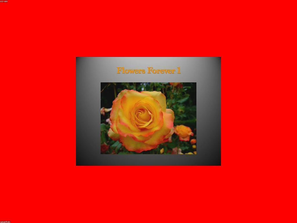 ការបង្ហាញពីស្លុត: គន្លឹះសម្រាប់វីដេអូស្លុតល្អ